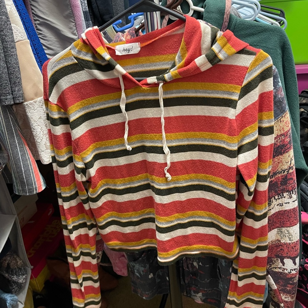 Long sleeve hooded crop top